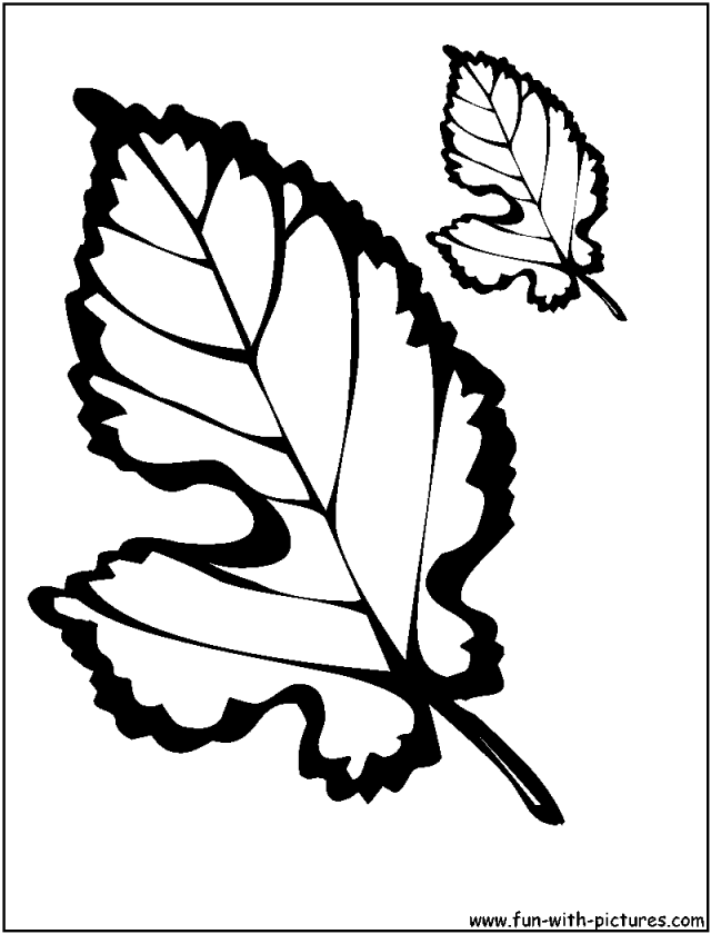 Free Leaf Coloring Page 140626 Autumn Leaves Coloring Pages