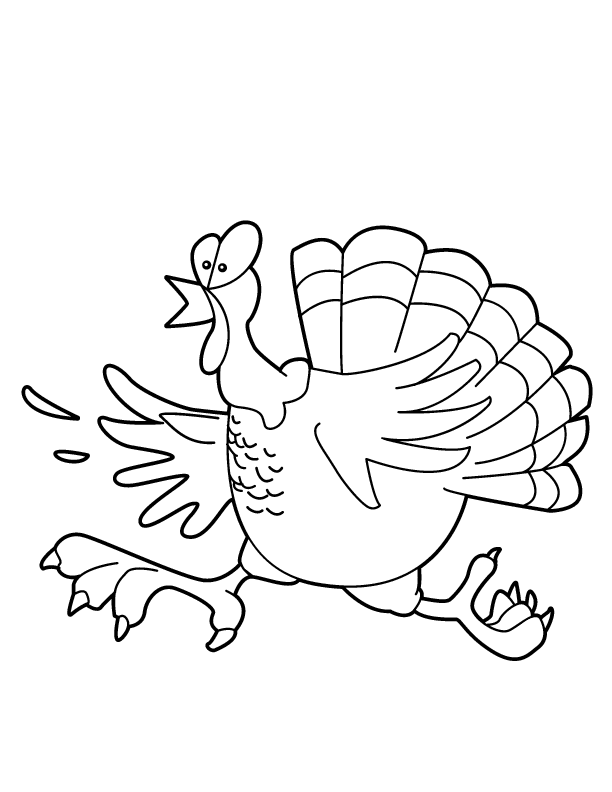 turkey 0244 printable coloring in pages for kids - number 4006 online