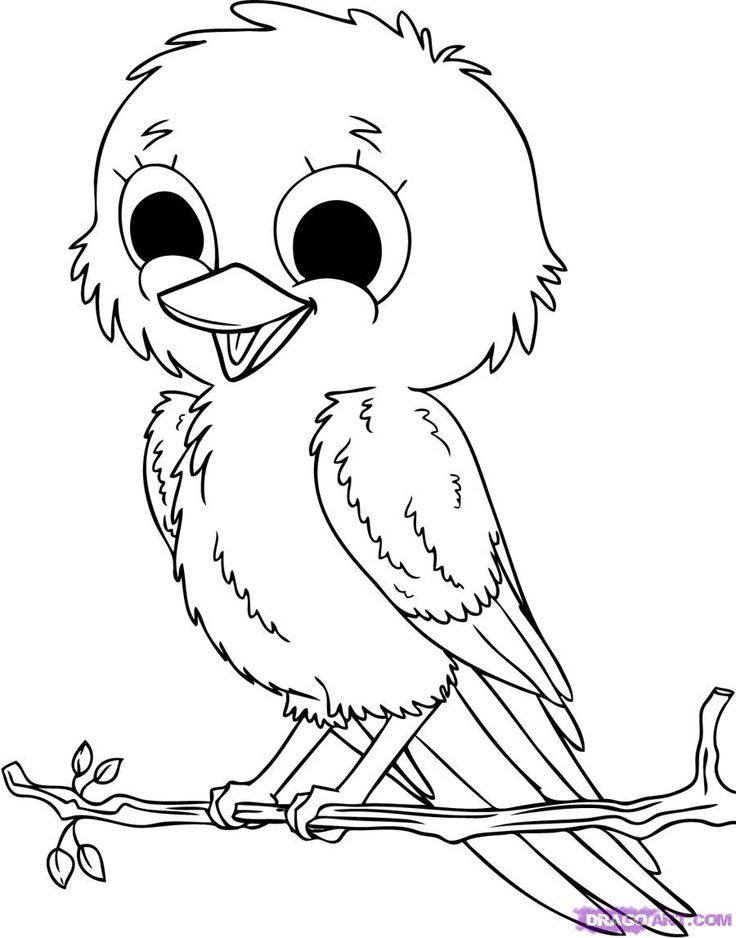 How to draw a baby-bird | VBS