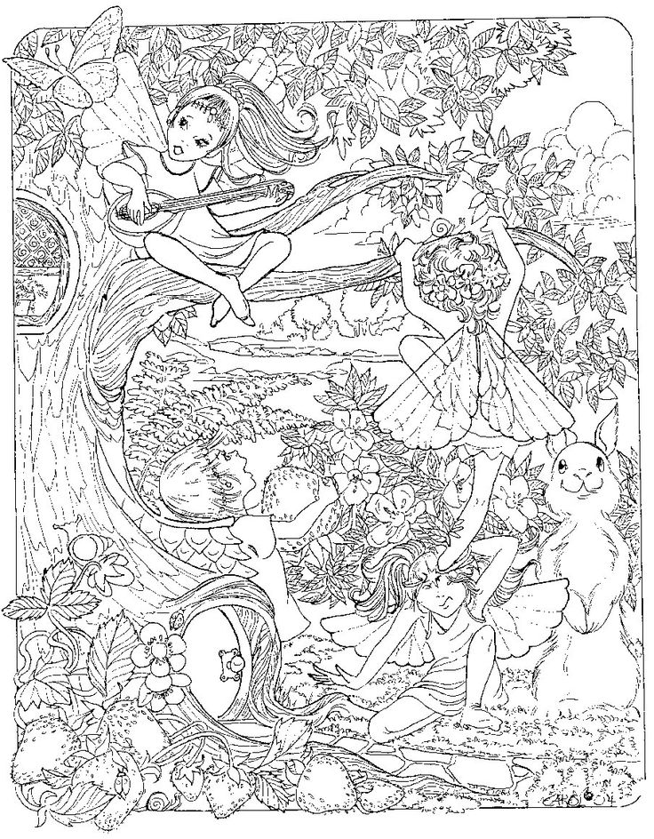 detailed coloring pages of fairies | Detailed coloring pages, Fairy coloring  pages, Coloring pages