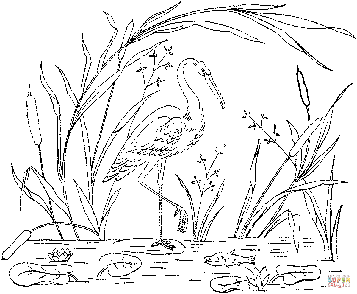 Stork coloring pages | Free Coloring Pages