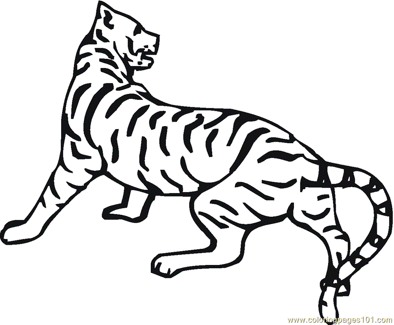 Lisa Frank Tiger Coloring Pages To Print Out 2816 Lisa Frank Coloring Home Tigers are not only beautiful specimens; lisa frank tiger coloring pages to