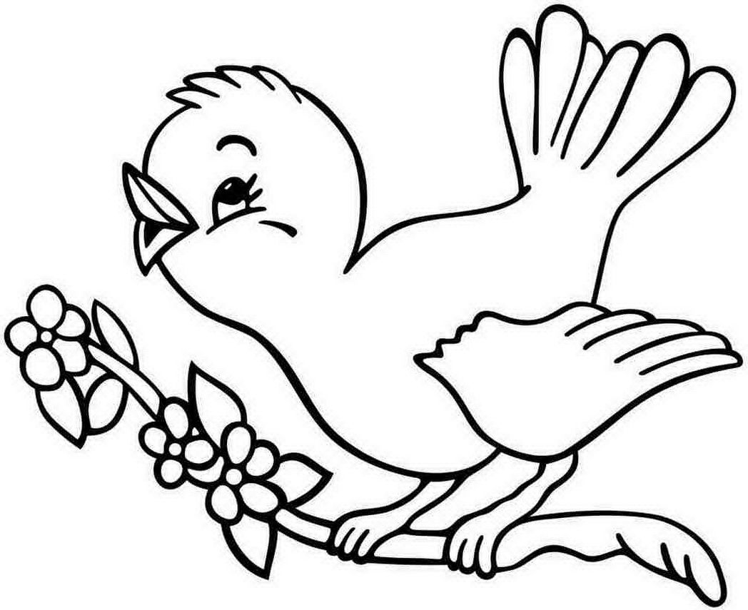 free-animal-birds-coloring-sheets-for-kindergarten-494011 ...