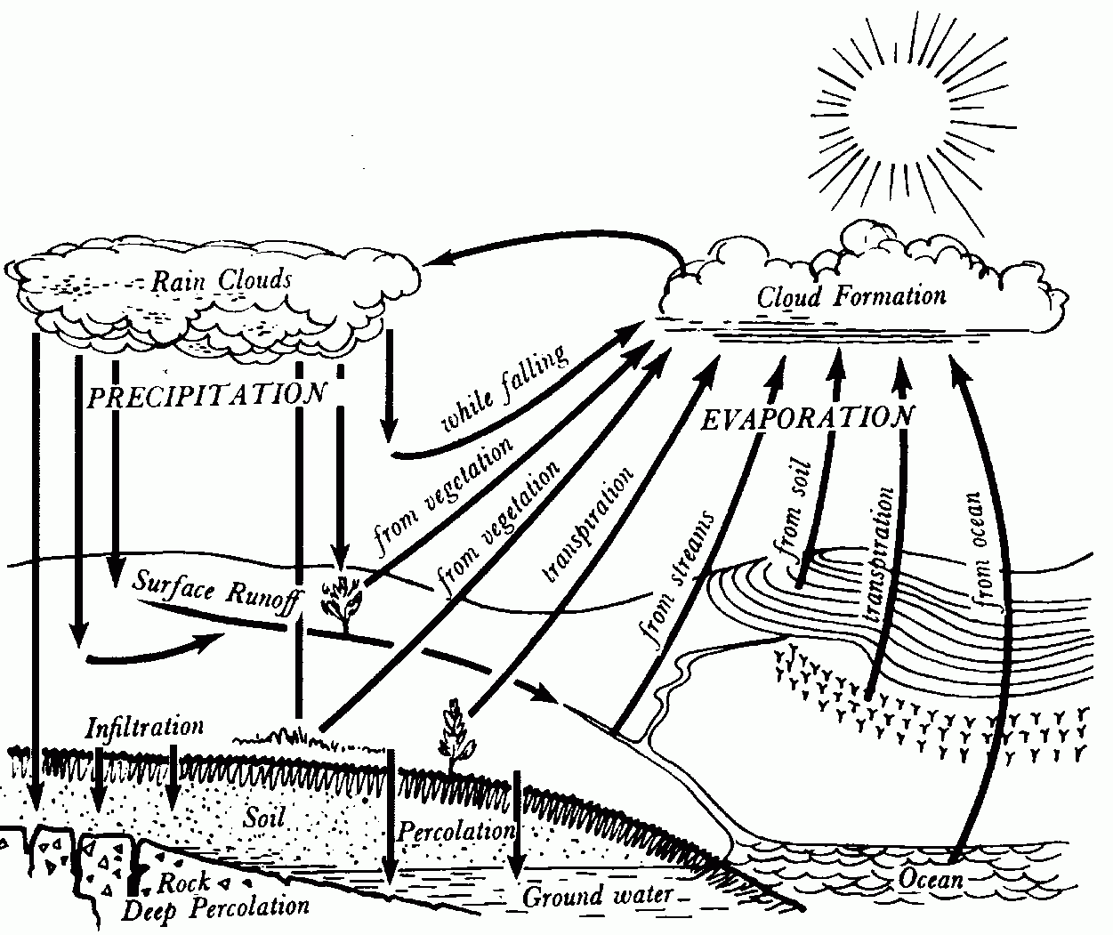 Acumen Water Cycle Coloring Pages - Widetheme