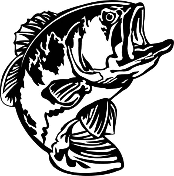 Bass Fish Open His Mouth Wide Coloring Pages : Best Place to Color