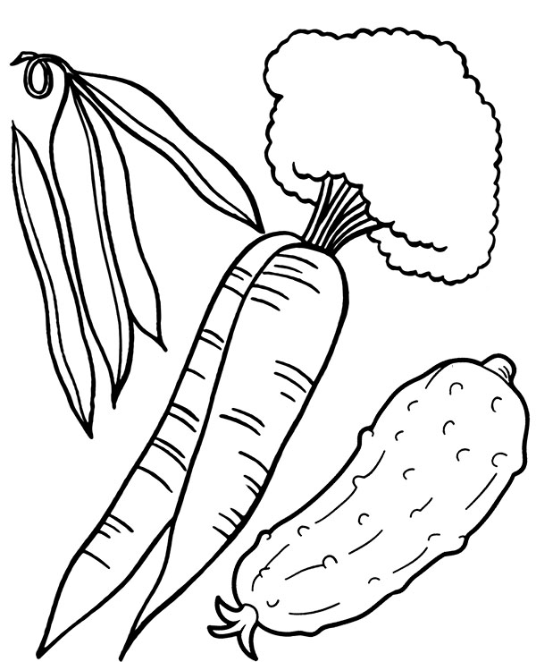 Cucumber and carrots prinbtable coloring pages for children