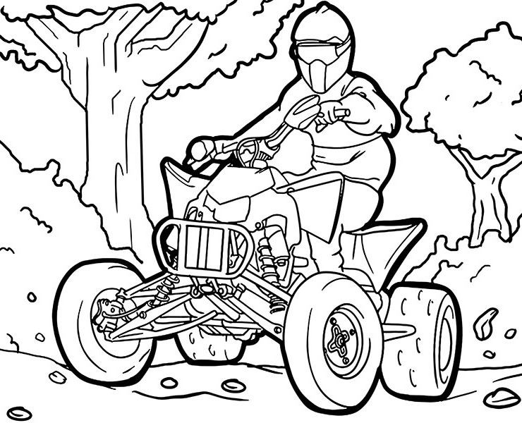 Quad in the forest coloring page to print or download for free
