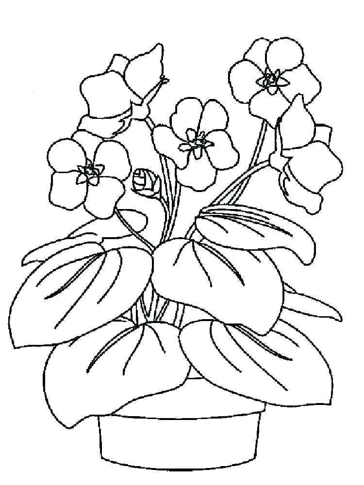Violet Coloring Pages - Best Coloring Pages For Kids