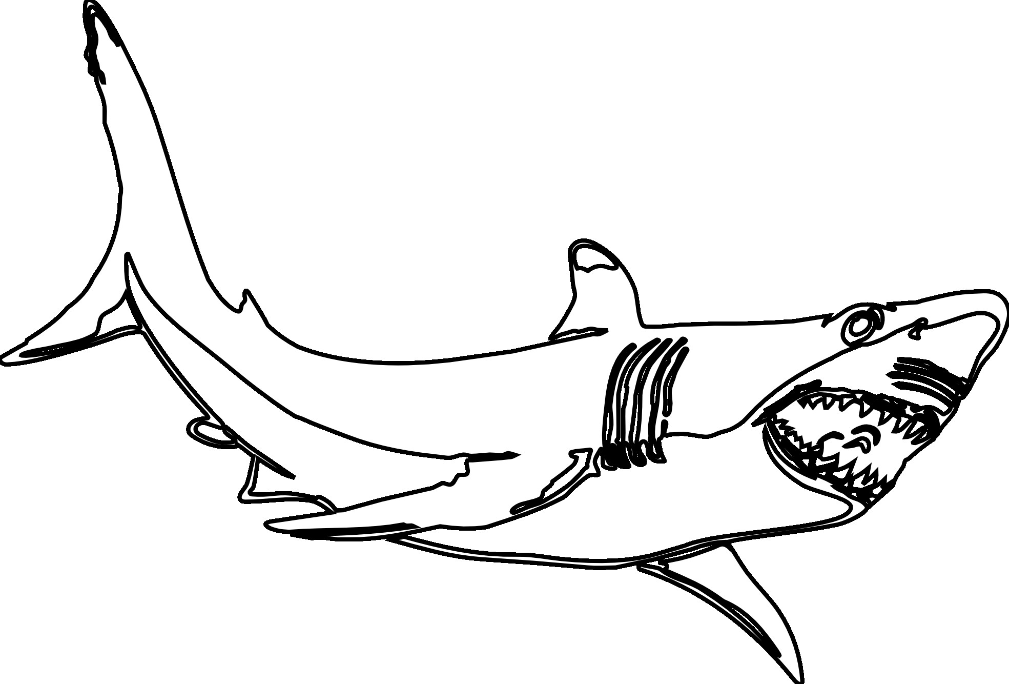 Coloring Pages : Jaws Shark Coloring Pages Free Printable For Kids Baby 49  Extraordinary Jaws Coloring Pages Photo Inspirations ~ Ny19 Votes