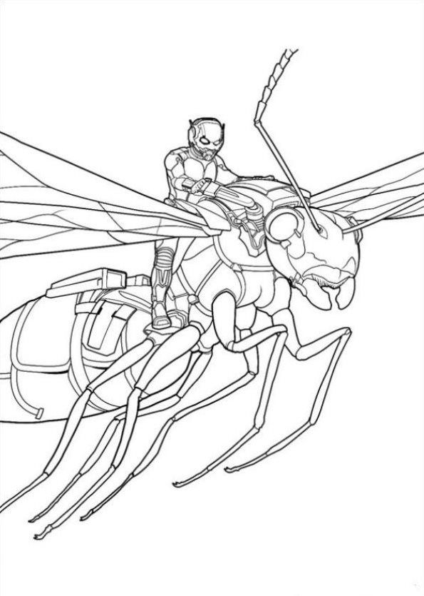 Kids-n-fun | Coloring page Ant man Ant man | Cool coloring ...