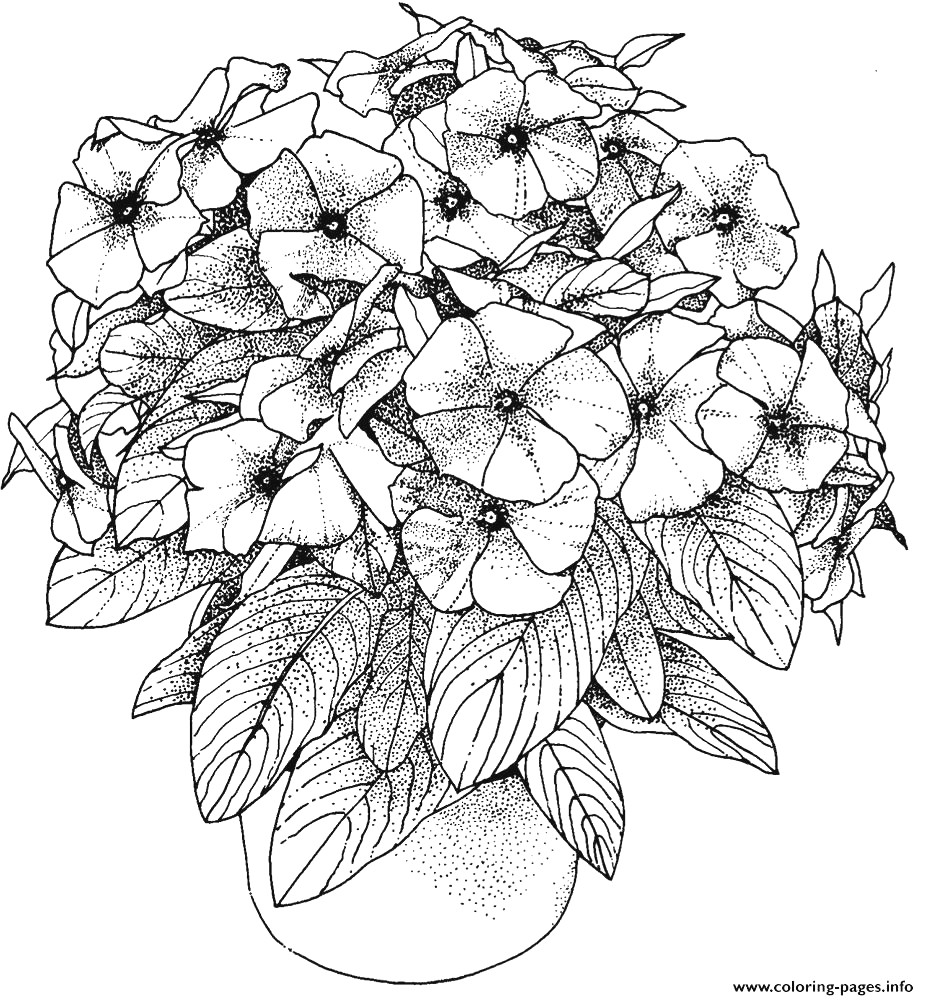 Hard Flowers Coloring Pages Coloring Home
