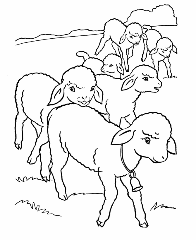 Free Printable Sheep Coloring Pages For Kids | Farm animal ...