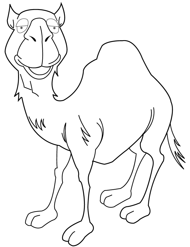 of cute camel Colouring Pages