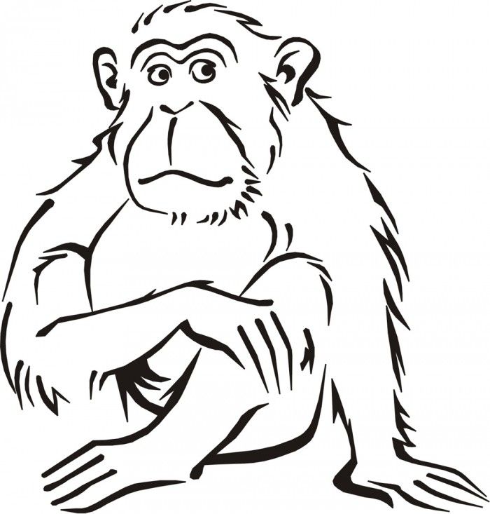 Pictures Of Monkeys To Color | 99coloring.com