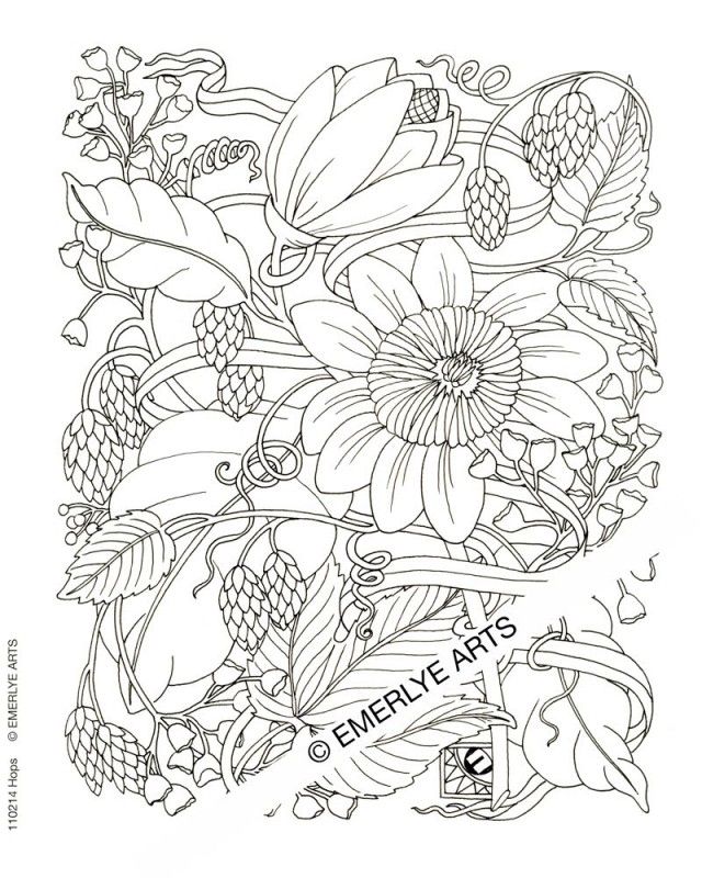 Free Coloring Pages Sheets Of Roses Adult Flower Coloring Pages 