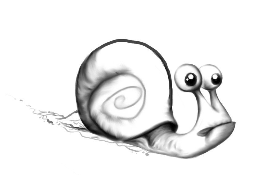 Snail Drawings
