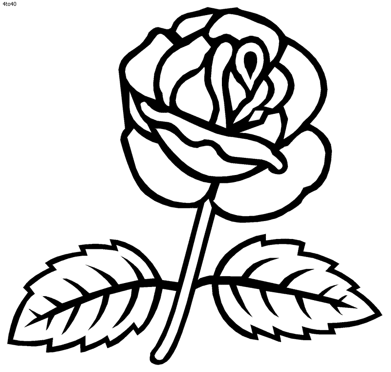 Download Tea Roses Coloring Book Tea Roses Coloring Pages Tea Roses Top Coloring Home