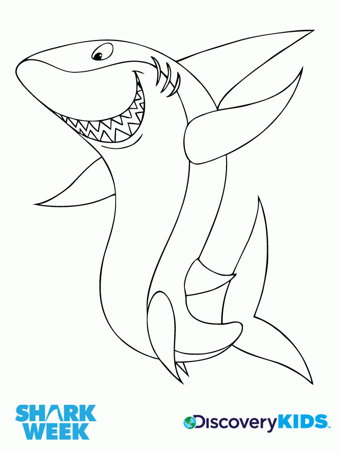 Shark night Colouring Pages