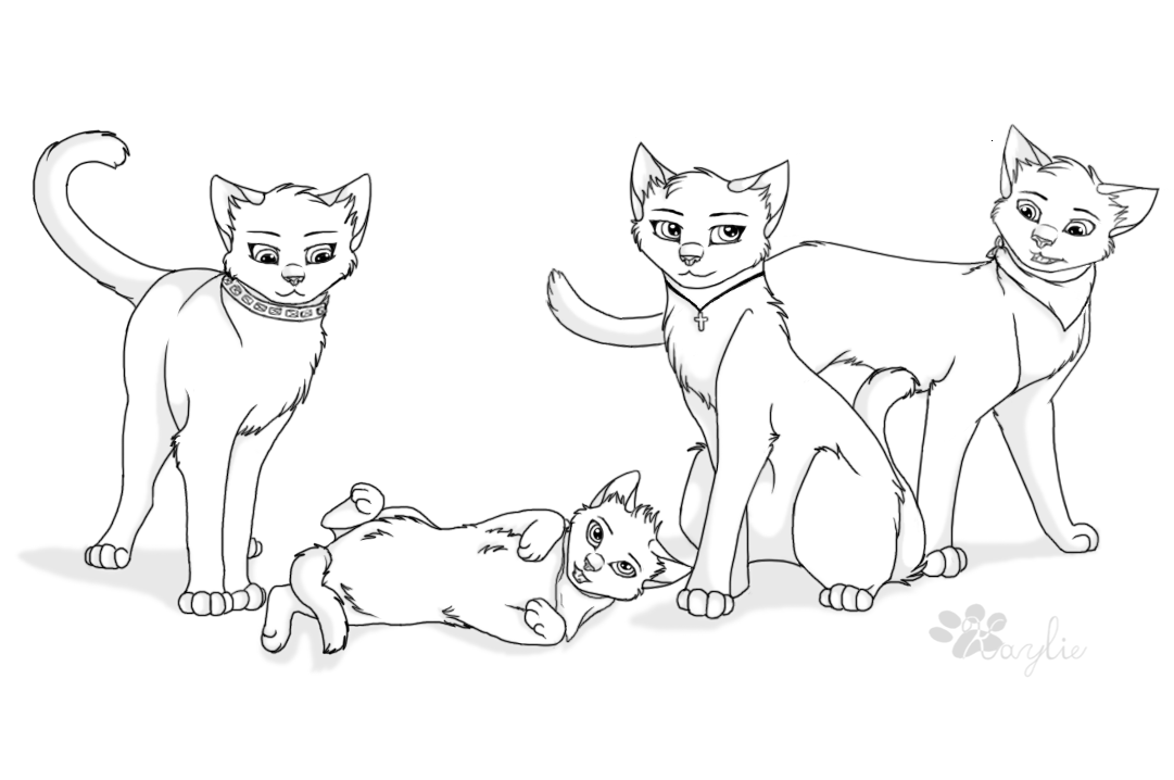 Cats Coloring Pages Warriors Warrior Cat Mates Base Death Drawing Kits Colo...
