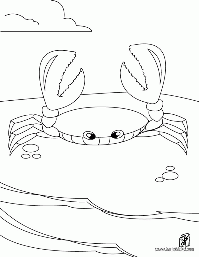 Crab Coloring Pages 21736 Label Blank Crab Coloring Pages Blue 