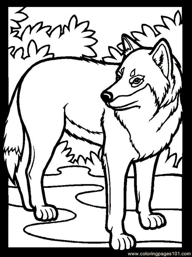 Coloring Pages Color Wolf (Countries > Germany) - free printable 