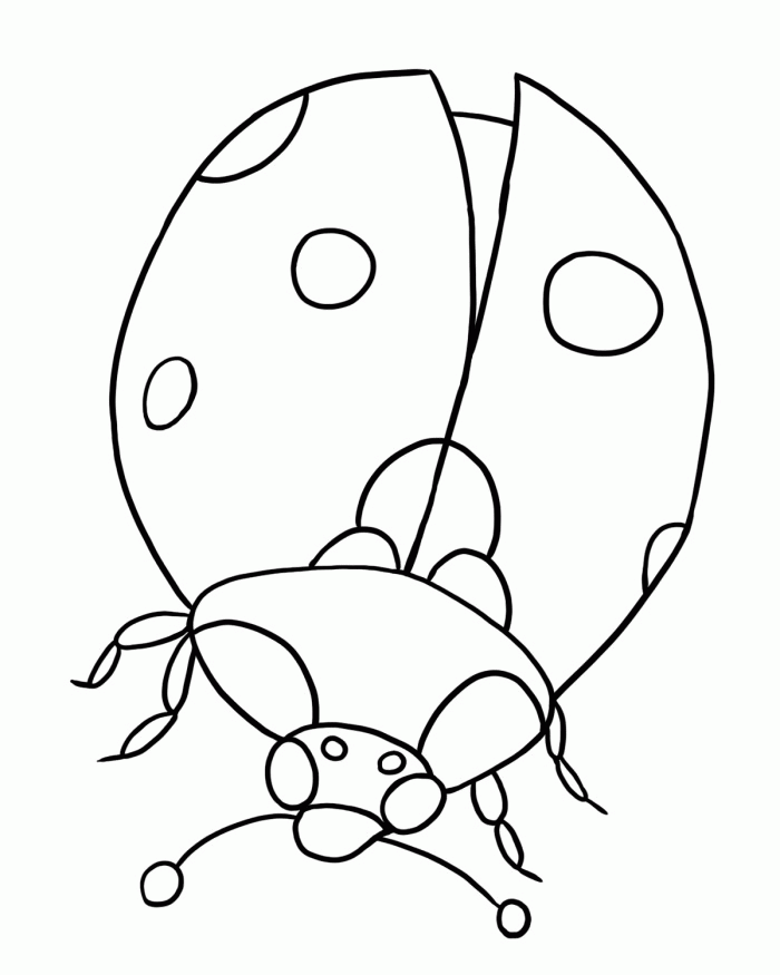 Lady Bug Coloring Page For Kids
