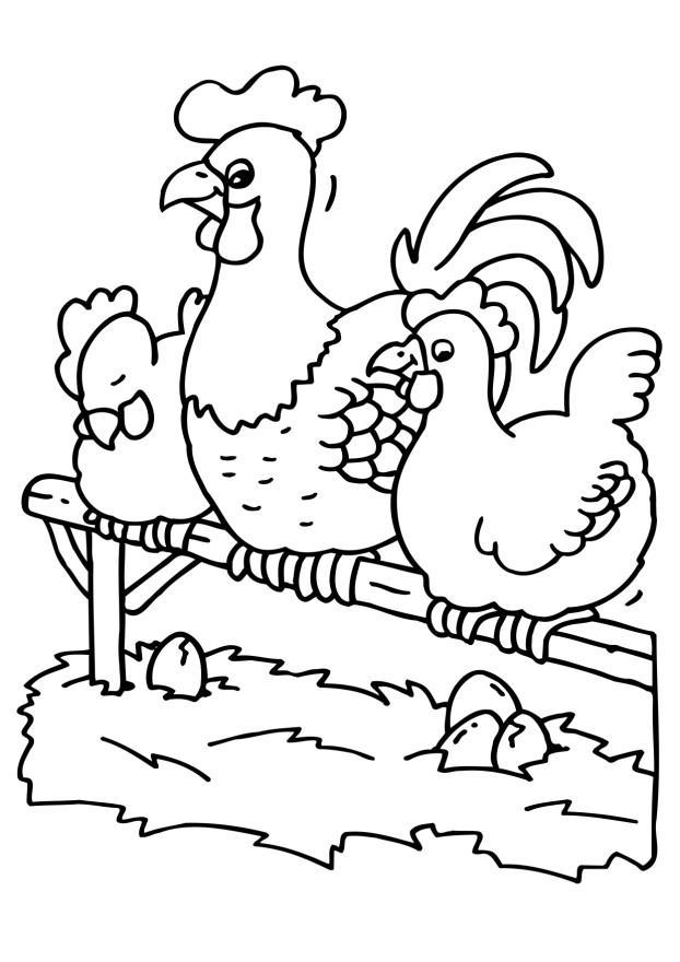 Coloring page rooster and chickens - img 6502.