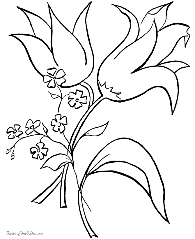 kitten coloring pages to print