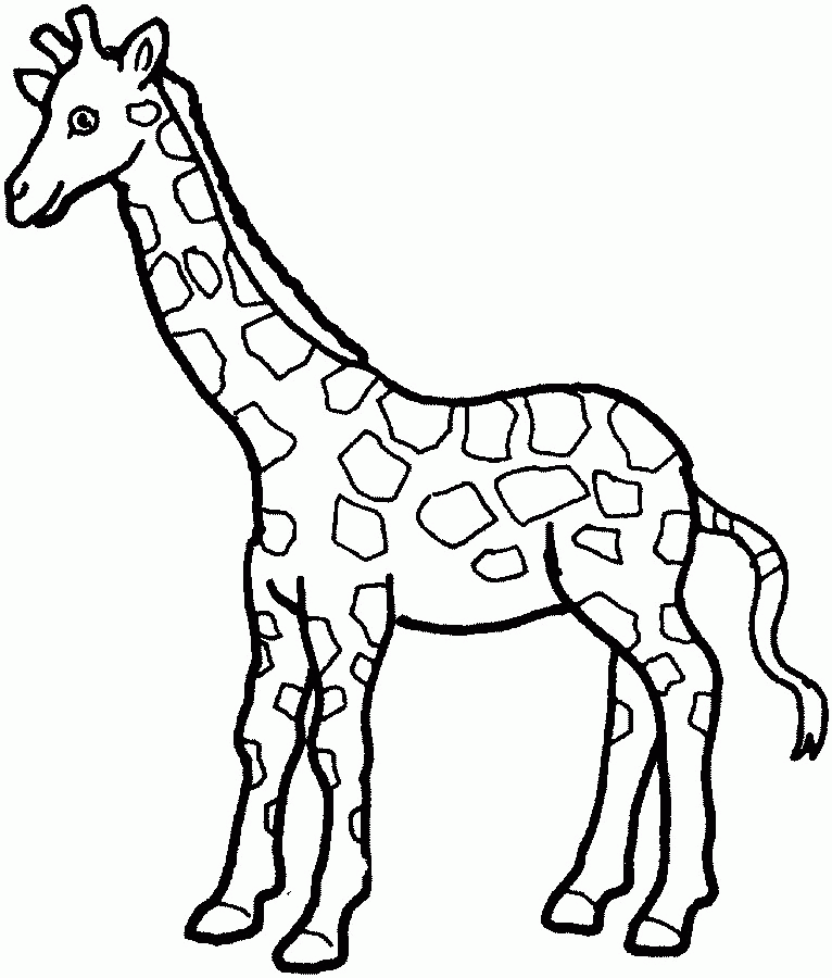 Giraffe Outline