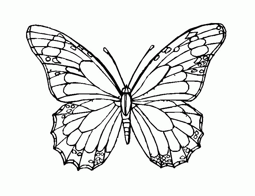 butterfly mosaic Colouring Pages