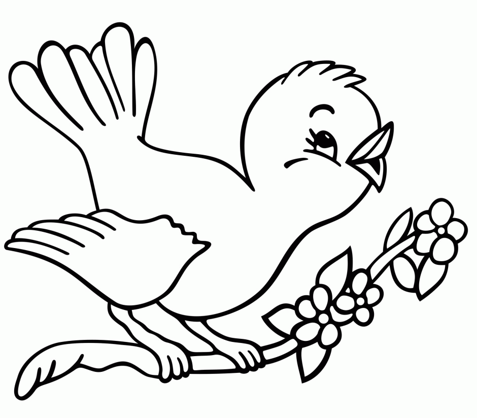 Free Printable Animal Birds Colouring Pages For Kindergarten 