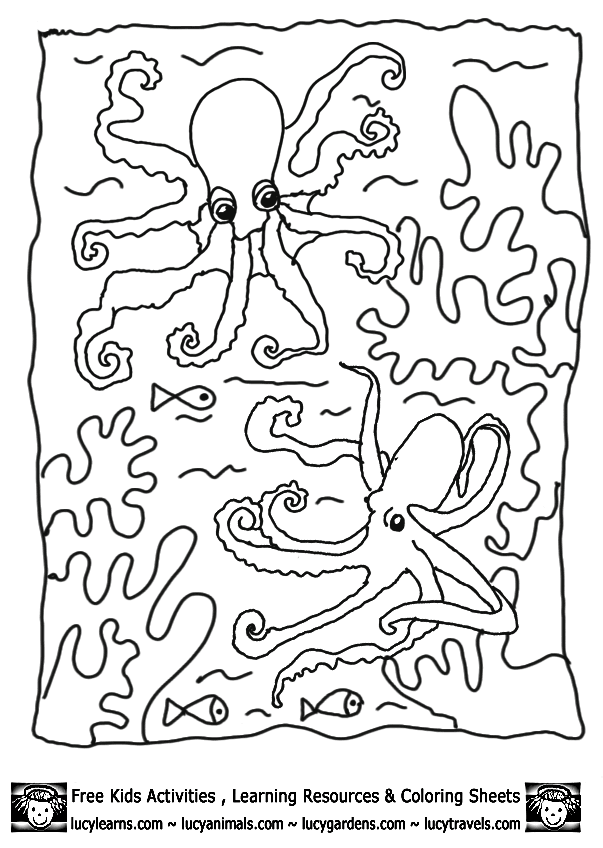 Coloring Pages Octopus Ocean Theme