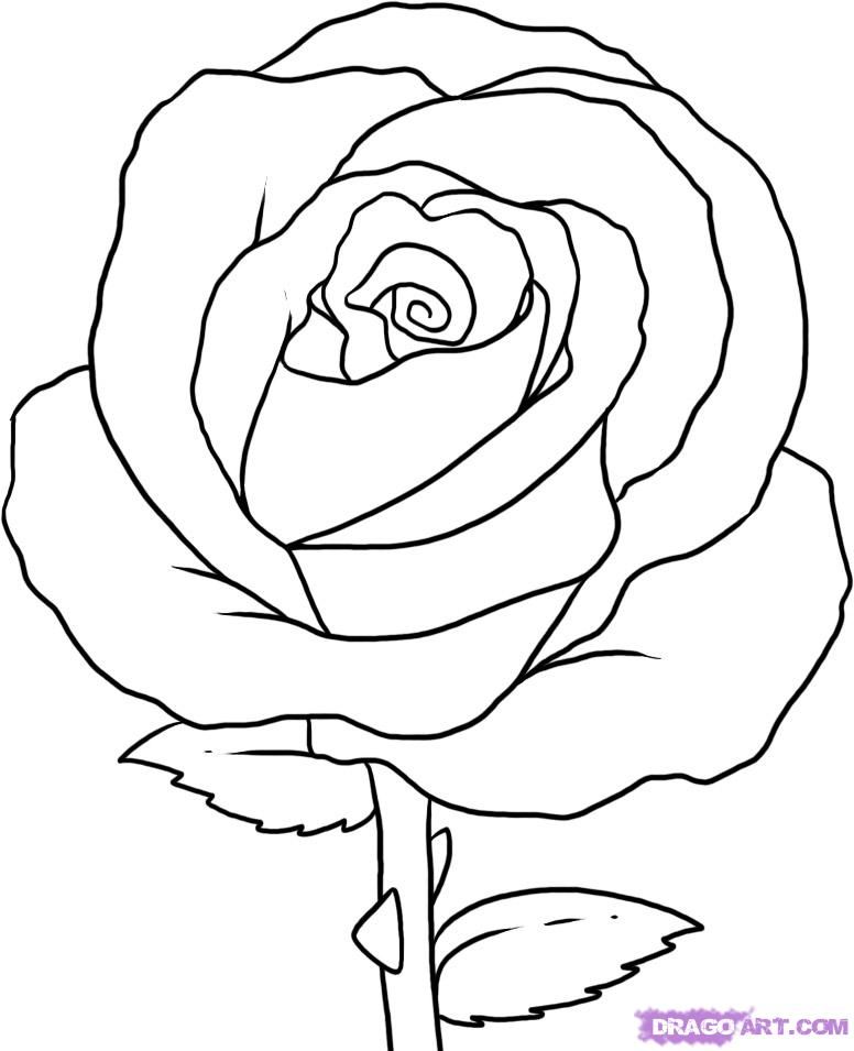 Easy Rose Drawing | Home Design - Coloring Home