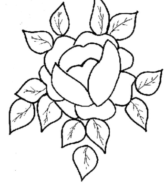 Cute And Beautiful Flower Coloring Pages | Blues Clues Coloring Pages…