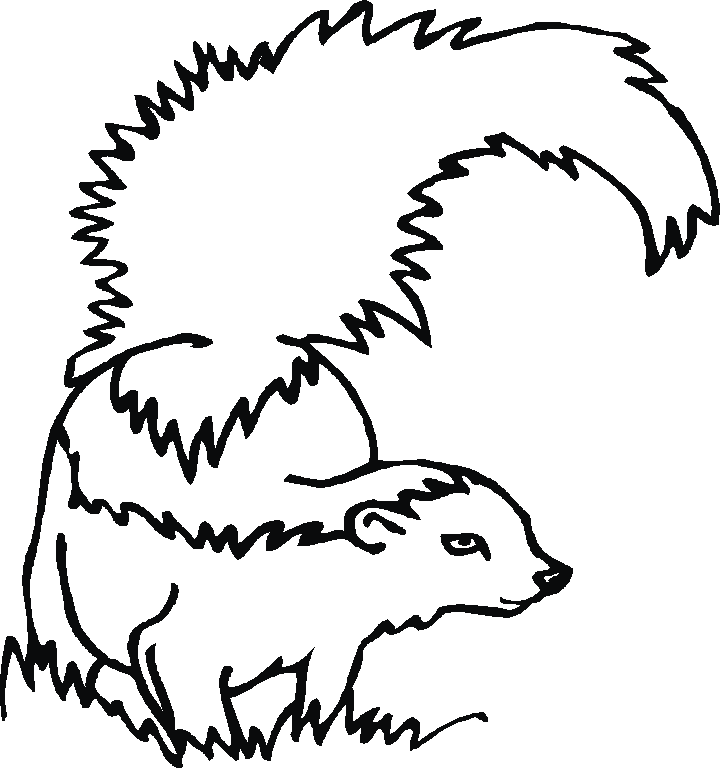 Free Forest Animals Coloring Pages
