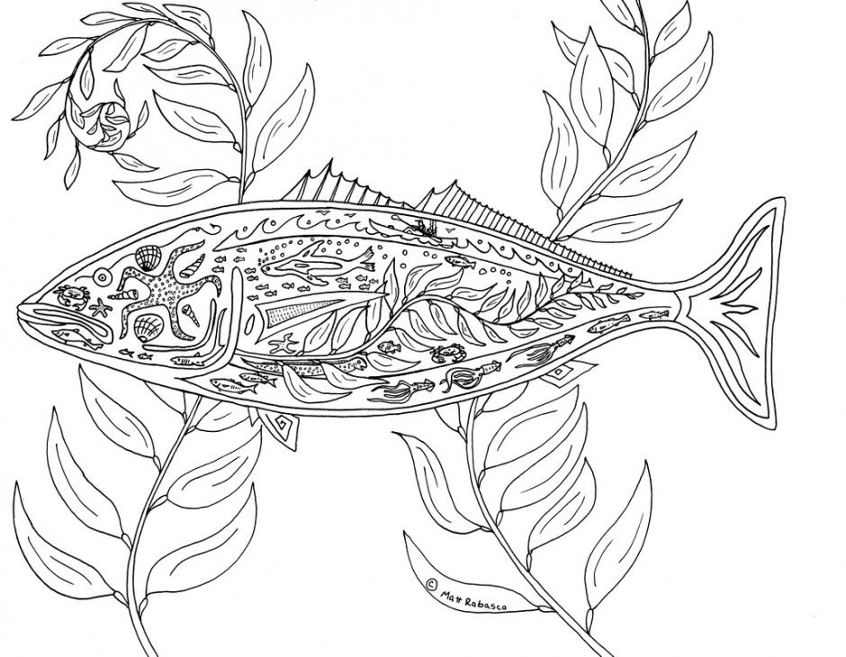 Coral Reef Coloring Pages Kb Courtesy Of Imagixs Id 49420 257136 