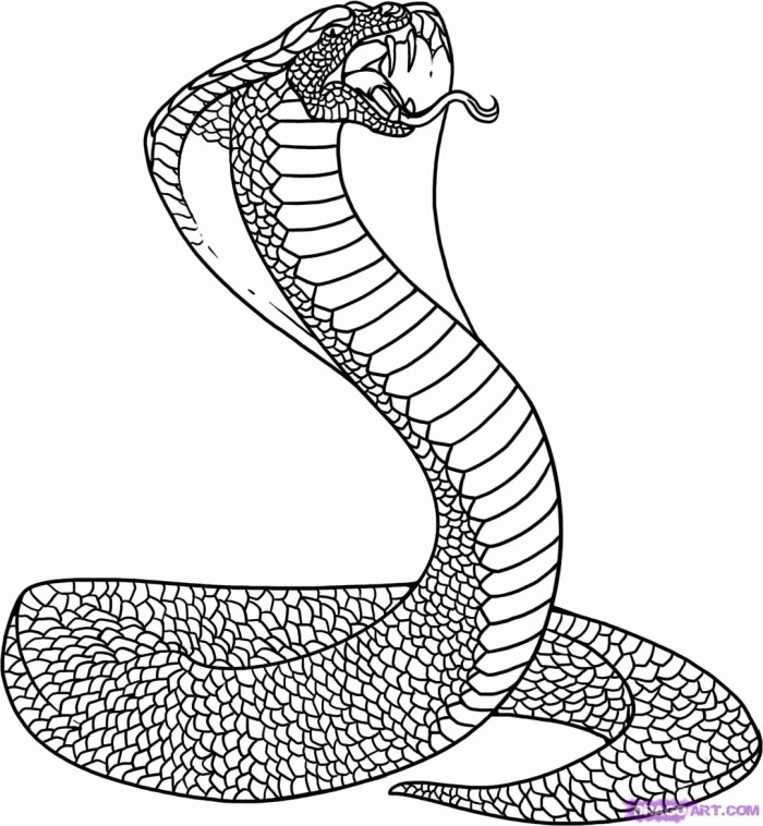 King Cobra Snake Coloring Pages