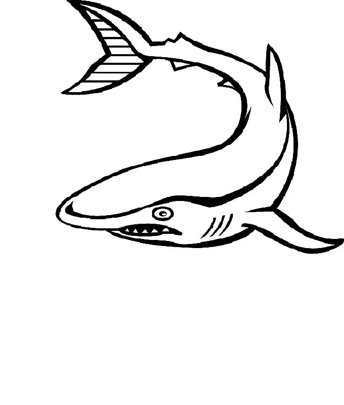 Fish and Sea animals | Free Printable Coloring Pages 