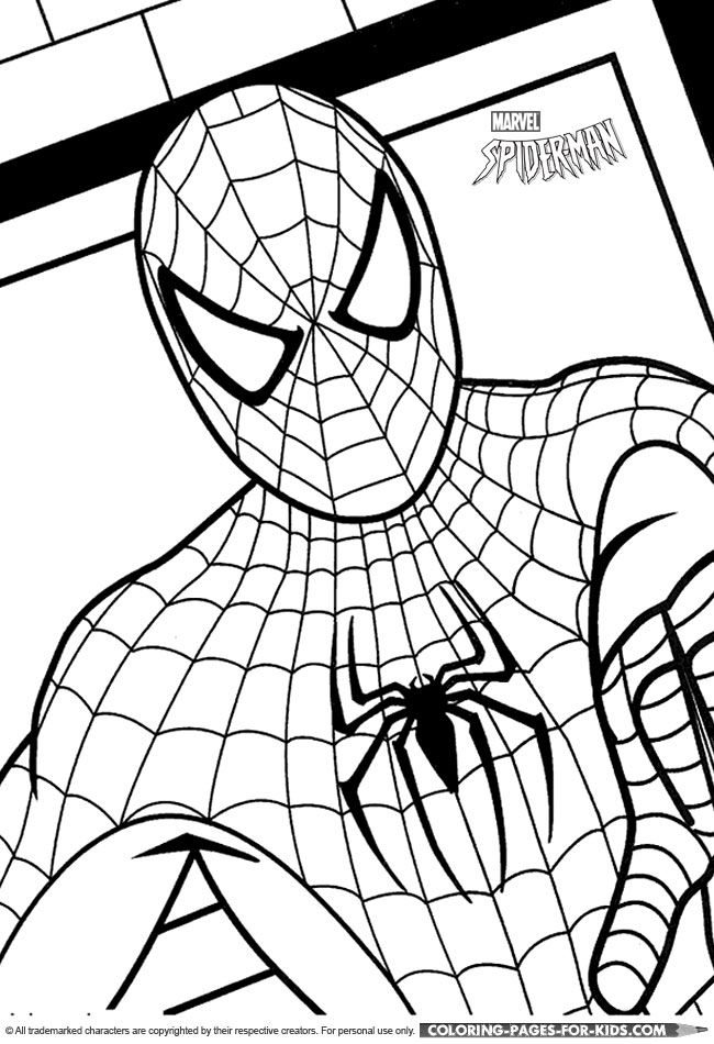 cy spider Colouring Pages