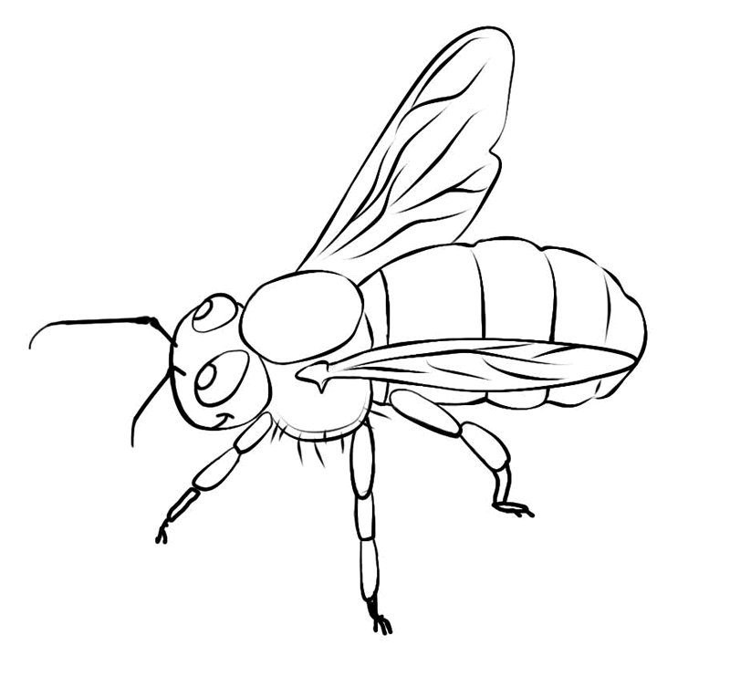 Bumble Bee Coloring Pages