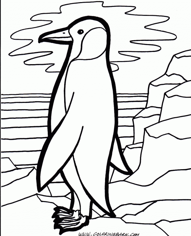 Penguin Coloring Pages Printable Printable Coloring Sheet 285055 