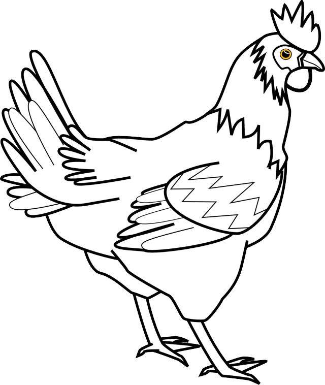 Chicken Black White Line Art Coloring Book Colouring Svg Id 35085 