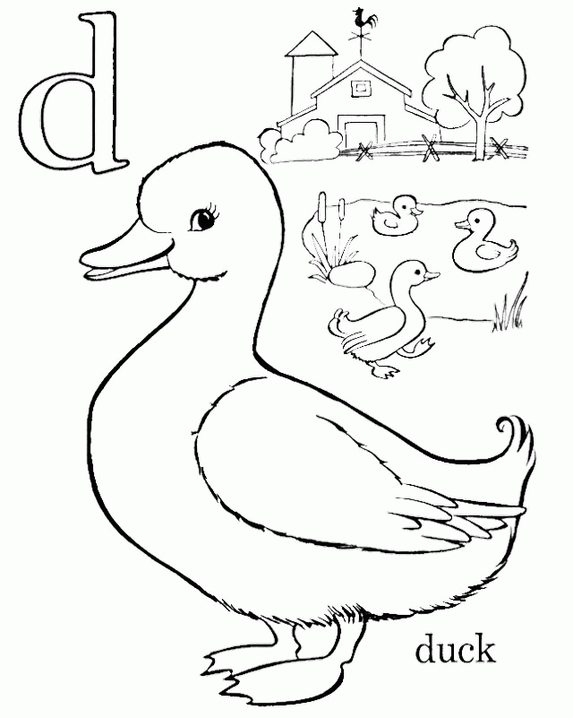 Duck Coloring : D For Duck Coloring Pages. Duck Swimming In A Bowl 