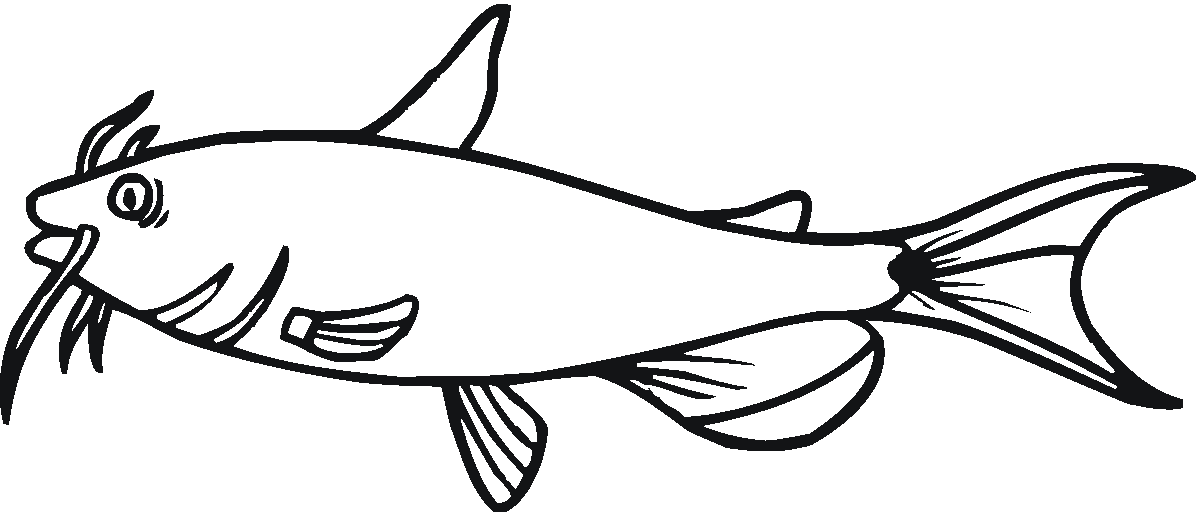 Catfish Coloring Page.