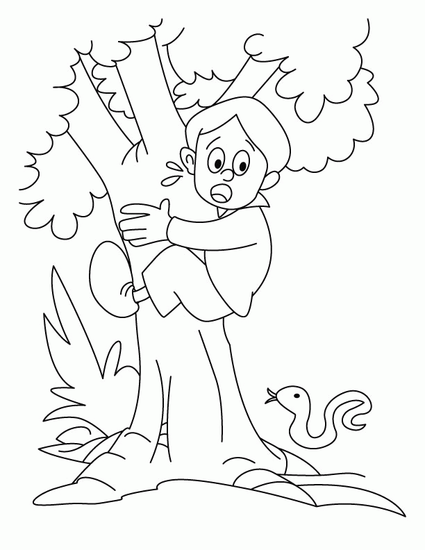 A boy is climbing on the tree coloring pages | Download Free A boy 