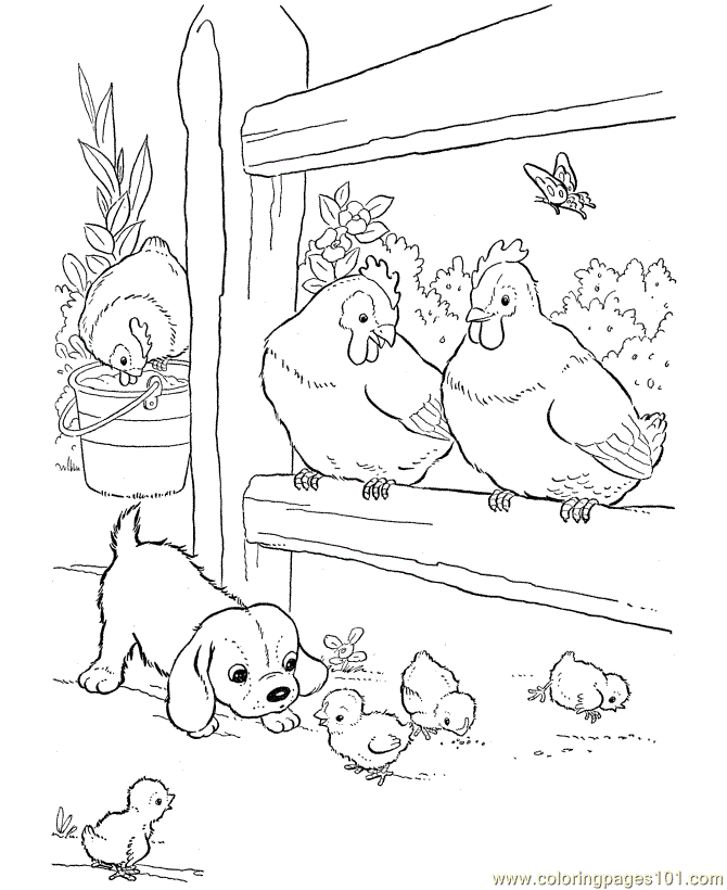 Coloring Pages Hens farm n dogi (Birds > Chicks, Hens and Roosters 