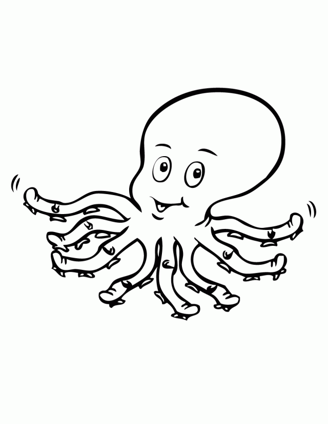 Cute Baby Octopus Coloring 168214 Octopus Coloring Page