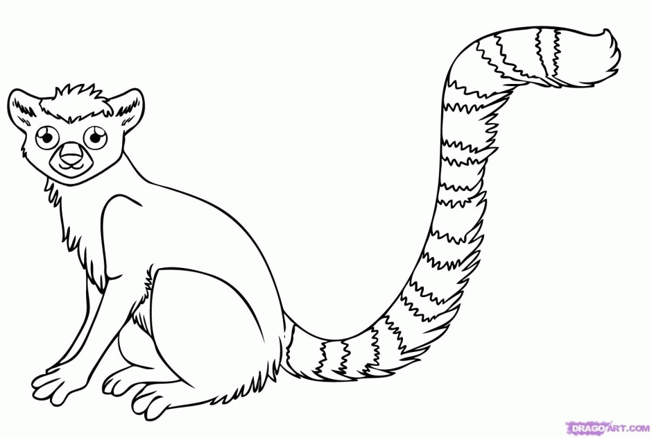 Most Endangered Rainforest Animals Coloring Pages Animal Jr 285364 