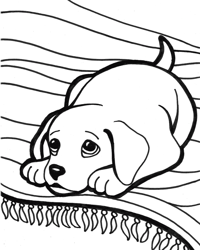 Puppies Who Are Looking At Something Coloring Page - Puppies 
