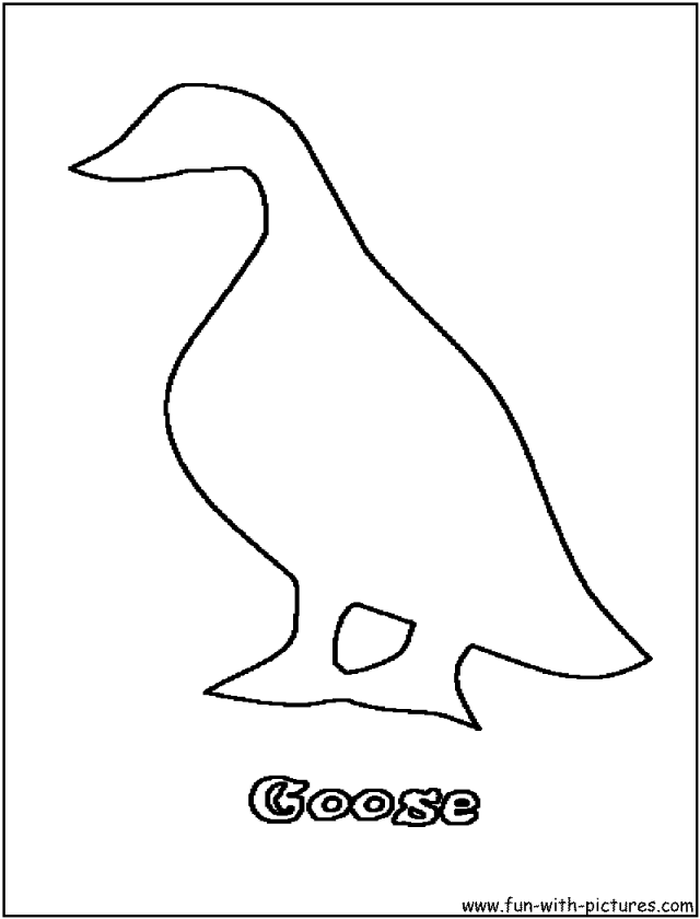 Golden Eagle Coloring Pages 255142 Golden Eagle Coloring Page